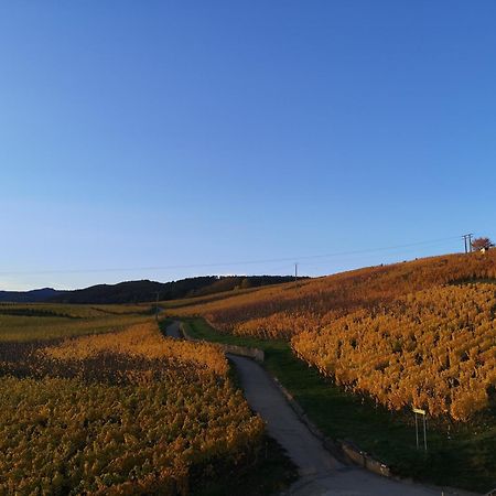 Cocon De Caractere Au Coeur Des Vignes Alsaciennes Apartment เบิร์กไฮม์ ภายนอก รูปภาพ