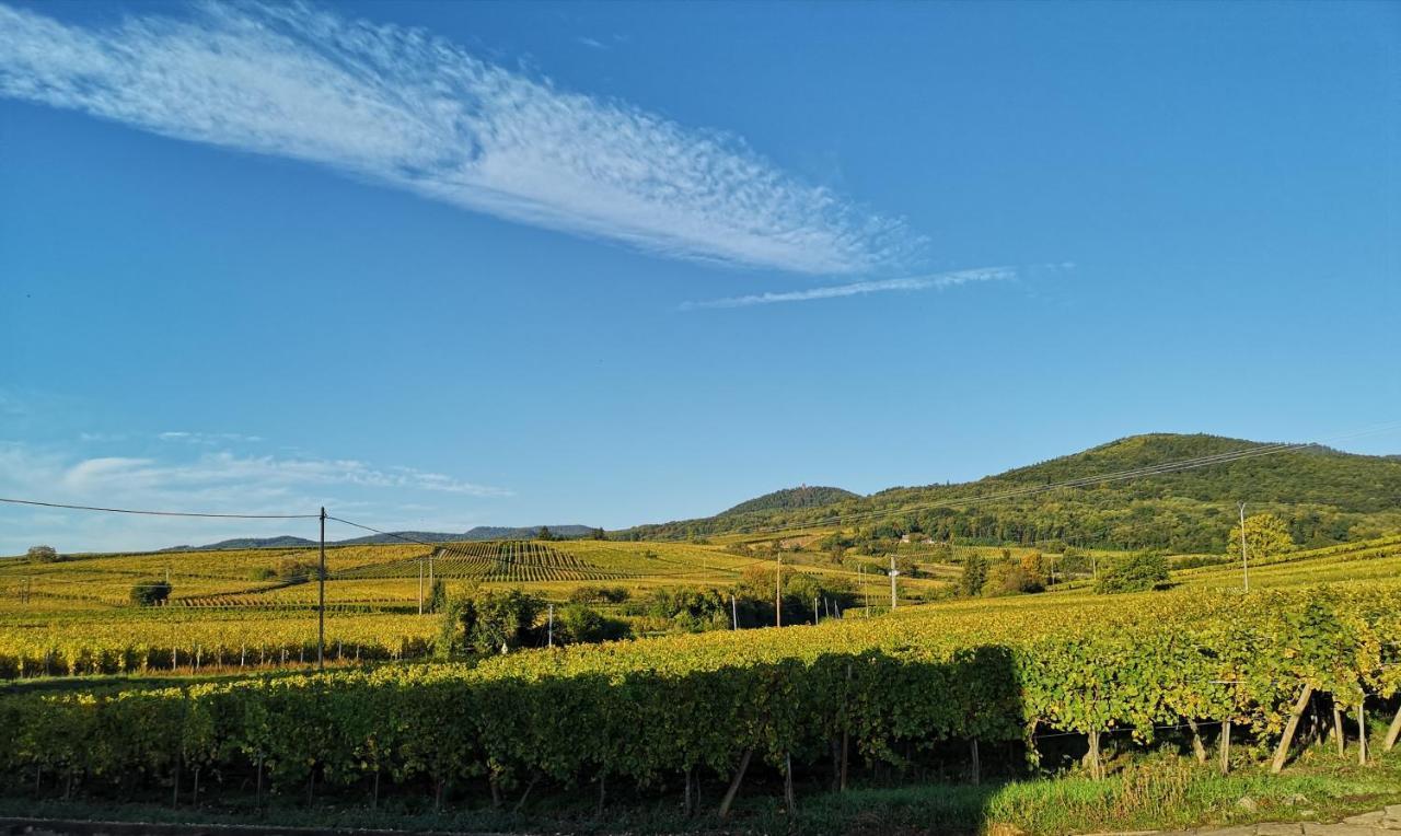 Cocon De Caractere Au Coeur Des Vignes Alsaciennes Apartment เบิร์กไฮม์ ภายนอก รูปภาพ