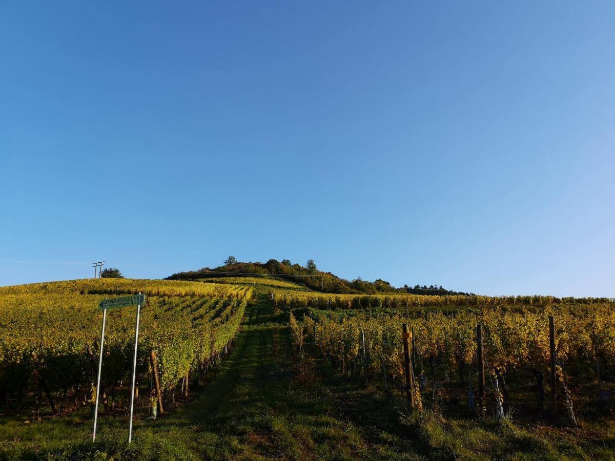 Cocon De Caractere Au Coeur Des Vignes Alsaciennes Apartment เบิร์กไฮม์ ภายนอก รูปภาพ