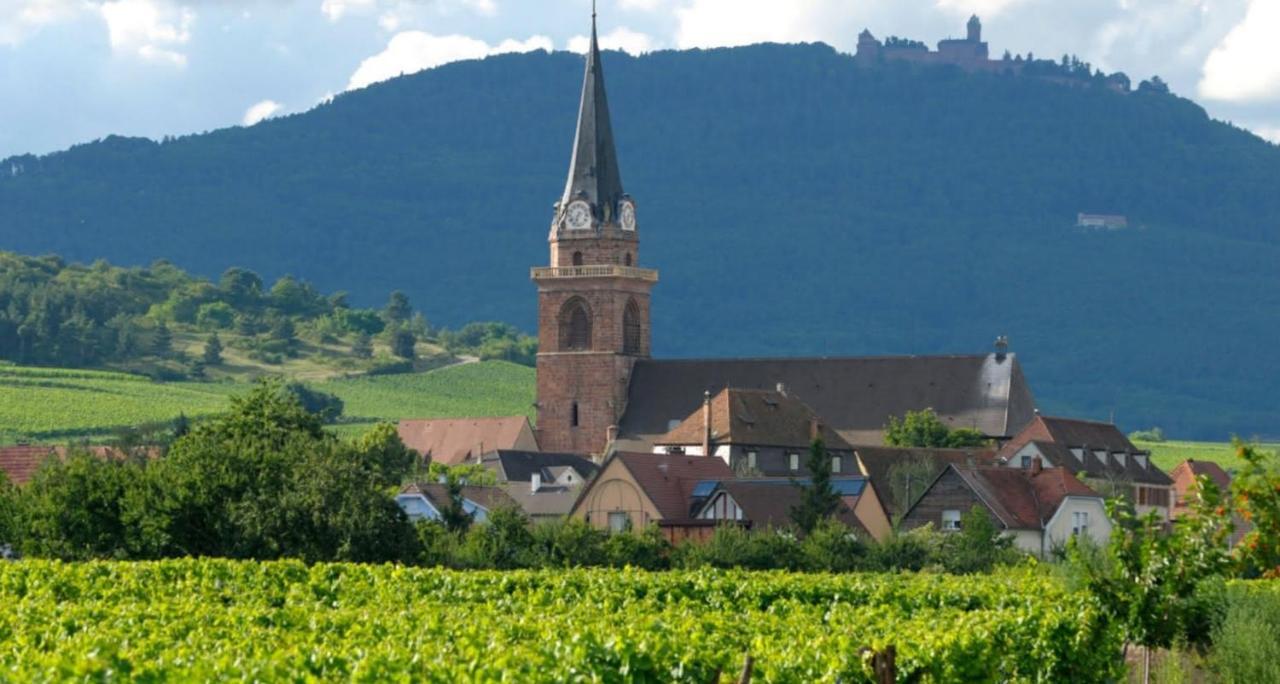 Cocon De Caractere Au Coeur Des Vignes Alsaciennes Apartment เบิร์กไฮม์ ภายนอก รูปภาพ