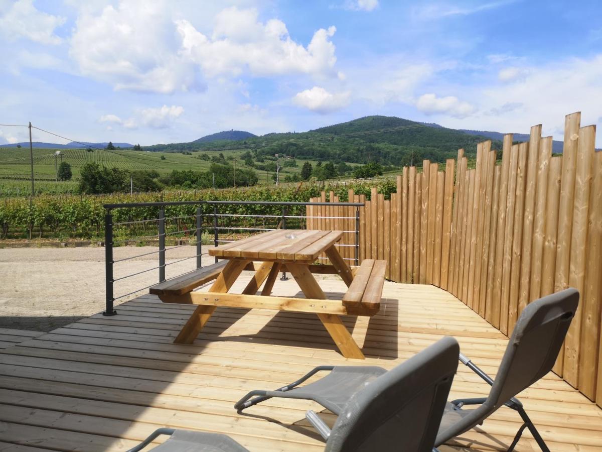 Cocon De Caractere Au Coeur Des Vignes Alsaciennes Apartment เบิร์กไฮม์ ภายนอก รูปภาพ