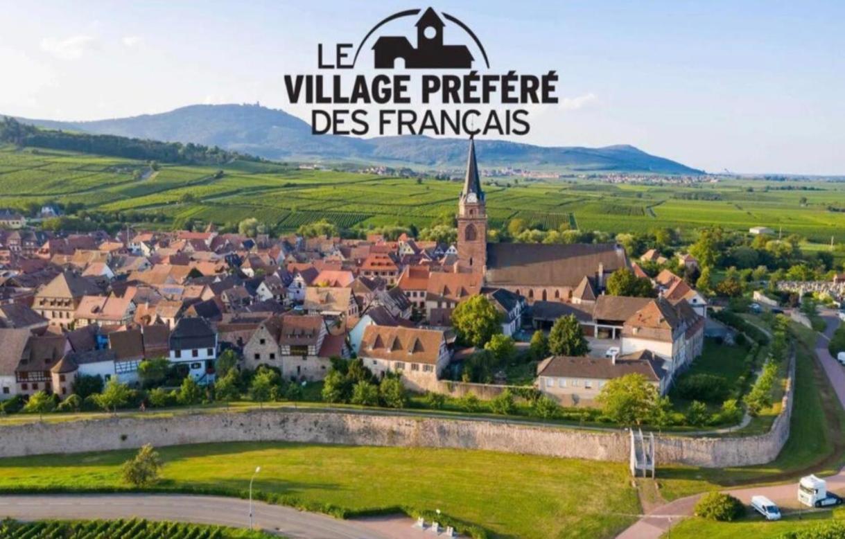 Cocon De Caractere Au Coeur Des Vignes Alsaciennes Apartment เบิร์กไฮม์ ภายนอก รูปภาพ